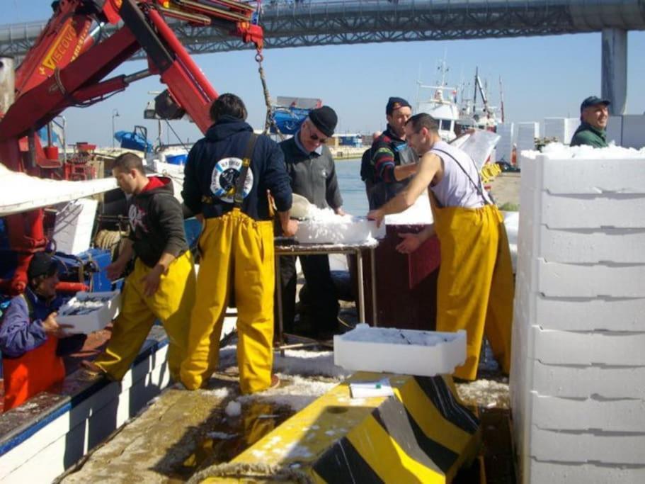 Casa Di Pipo - Appartamento Davanti Al Mare Pescara Zewnętrze zdjęcie